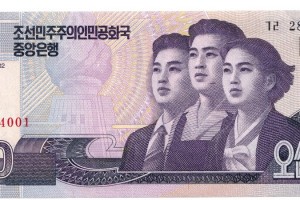 Banknote - North Korea, 50 won, 2002, UNC