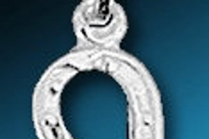 Small silver horseshoe pendant - silver Ag 925