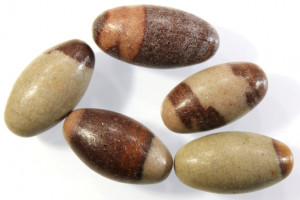Shiva lingam, India, price for 5 pieces, 22 - 26 mm, total 26.3 grams