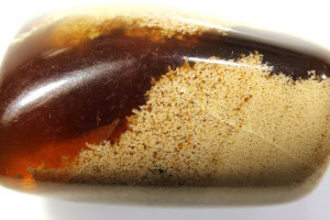 Amber, Indonesia - Sumatra, tumbled / polished, 10.61 grams, 36x22x20 mm