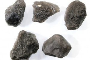 Cintamani 41.18 grams, 5 pieces, legendary mystical stone, rare locality Slovakia