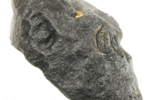 Cintamani 11.02 grams, legendary mystical stone, rare locality Slovakia