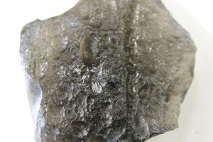 Cintamani 8.55 grams, legendary mystical stone, rare locality Slovakia
