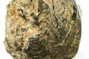 Natural Czech moldavites from locality BRUSNÁ