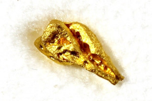 Natural gold - tiny nugget of natural gold from the USA, California, Mother Lode, 5.5x2.6x1.7 mm, approx 0.8 ct